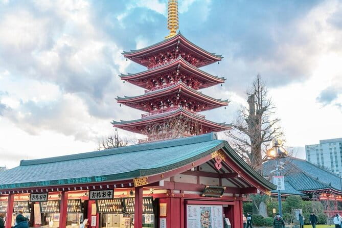 Tokyo Cherry Blossom Private One Day Tour - Reviews and Feedback