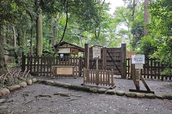 Tokyo Cherry Blossom Private One Day Tour - Communication and Support