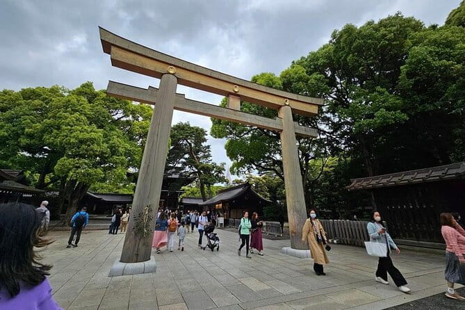 Tokyo Cherry Blossom Private One Day Tour - Explore Tokyos Cherry Blossoms