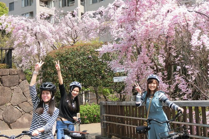 Tokyo Cherry Blossoms Blooming Spots E-Bike Tour, 3hrs - Tour Participation Requirements