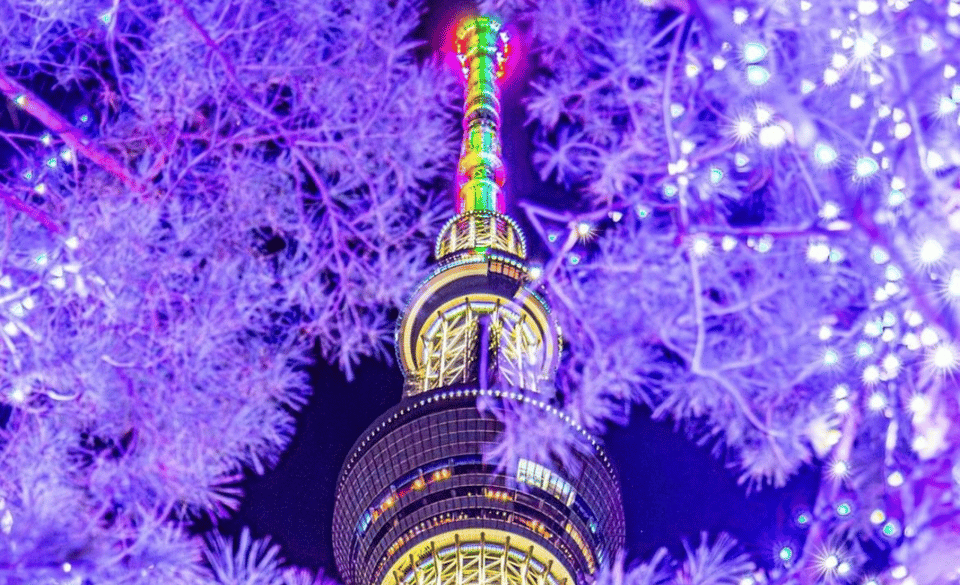 Tokyo City Customized Tour With English Speaking Guide - Transportation and Accessibility