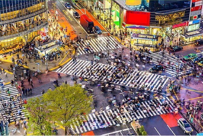 Tokyo City Tour by Private Car & English Guide - Traveler Reviews