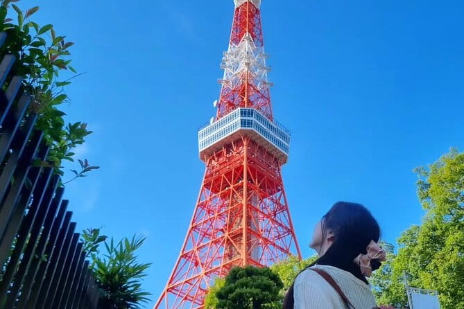 Tokyo City Walk Private Sightseeing Day Tour - Accessibility and Health Information