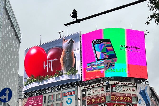 Tokyo City Walk Private Sightseeing Day Tour - Booking Information