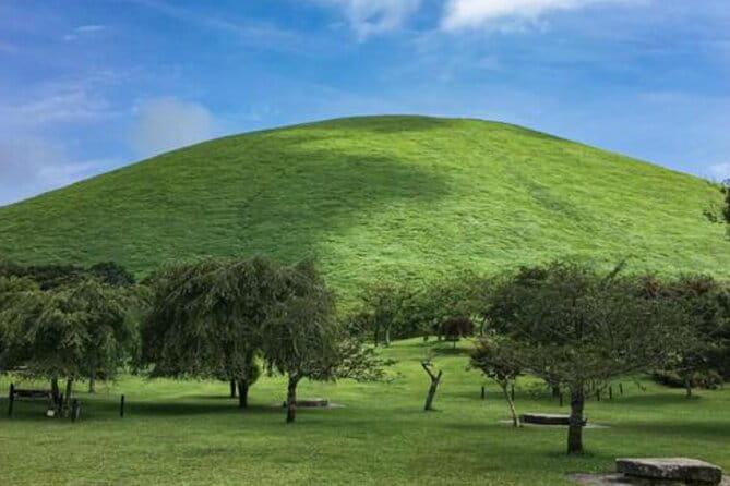 Tokyo Day Trip to Izu and Shimoda - Key Points