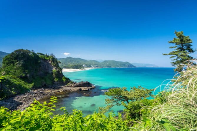 Tokyo Day Trip to Izu and Shimoda - Discovering Shimoda