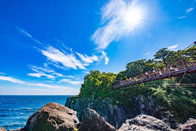 Tokyo Day Trip to Izu and Shimoda - Meeting and Pickup Details