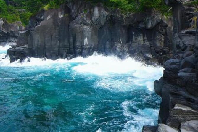 Tokyo Day Trip to Izu and Shimoda - Tour Inclusions and Accessibility