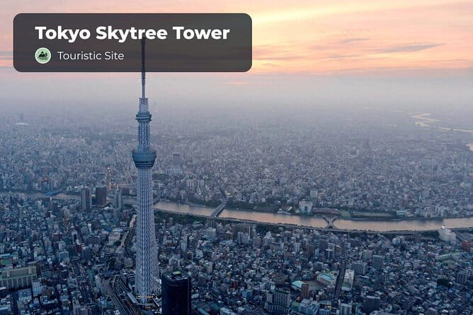 Tokyo Digital Guide - Participation