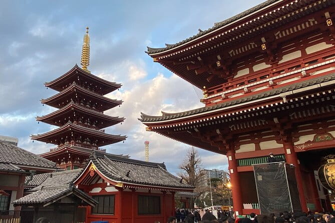 Tokyo Discovery:Exclusive Private Car Tour for an Epic Adventure! - Accessibility and Health Information