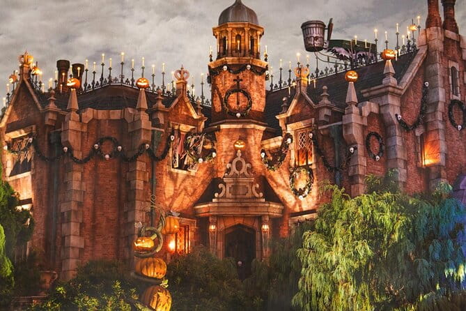 Tokyo Disneyland Entry Ticket With Tokyo Subway Ticket - Traveling to Tokyo Disneyland