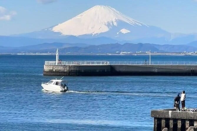 Tokyo Enoshima and Kamakura Coastal Escape Private Car Tour - Inclusions