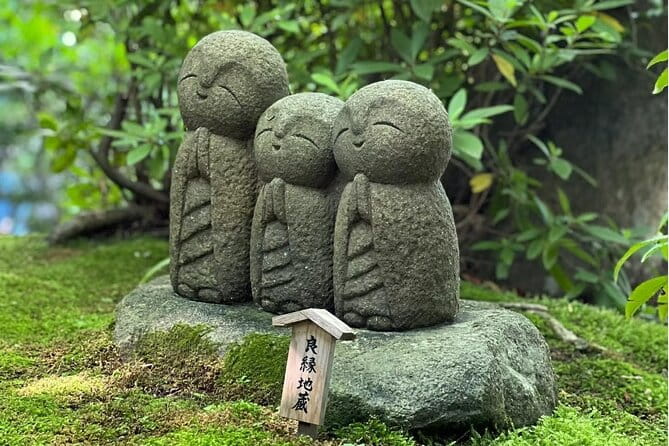 Tokyo Enoshima and Kamakura Coastal Escape Private Car Tour - Pickup Information