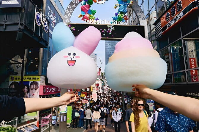 Tokyo: Exclusive City Highlights Tour With Eng Speaking Driver - Key Points