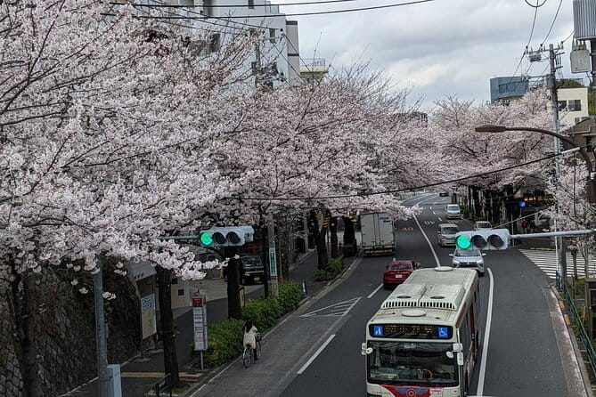 Tokyo Experience Food & Cycling Local Life Tour - Health and Safety Guidelines