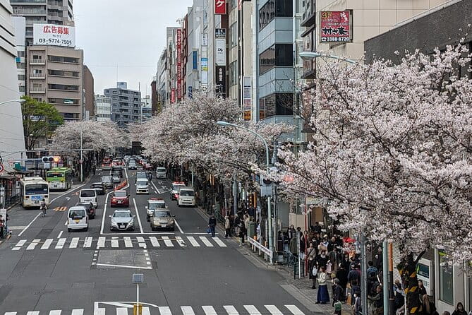 Tokyo Experience Food & Cycling Local Life Tour - Pricing and Reservation Information