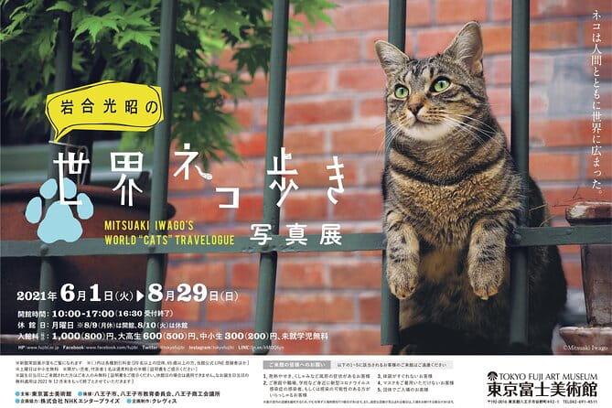 Tokyo Fuji Art Museum Admission Ticket + Special Exhibition (When Being Held) - Accessibility and Additional Info