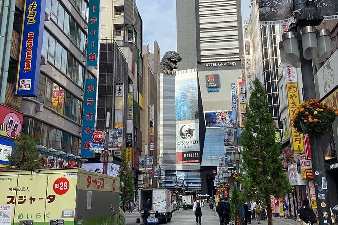 Tokyo Full Day Private Tour With English Guide Driver - Key Points