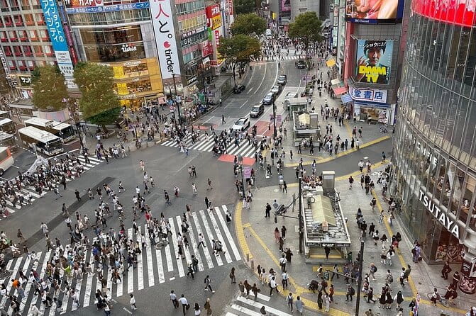 Tokyo Full Day Private Tour With English Guide Driver - Cancellation and Booking Policies