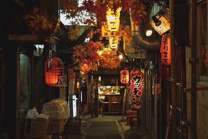 Tokyo Full Day Private Tour With English Guide Driver - Tips for Enjoying the Tour