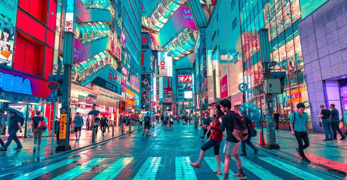 Tokyo: Full Day Private Walking Tour With a Guide - Key Points