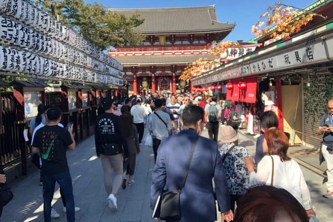 Tokyo Full Day Tour With an Expert Local Guide - Additional Information