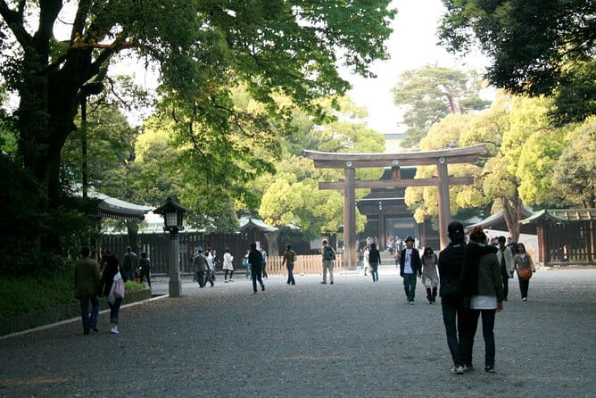 Tokyo Full Day Trip With Private Guide and Luxury Car - Accessibility and Participation Requirements