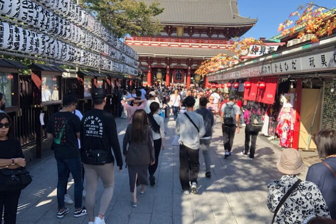Tokyo Half Day With a Local Expert Guide - Explore With a Local Expert Guide
