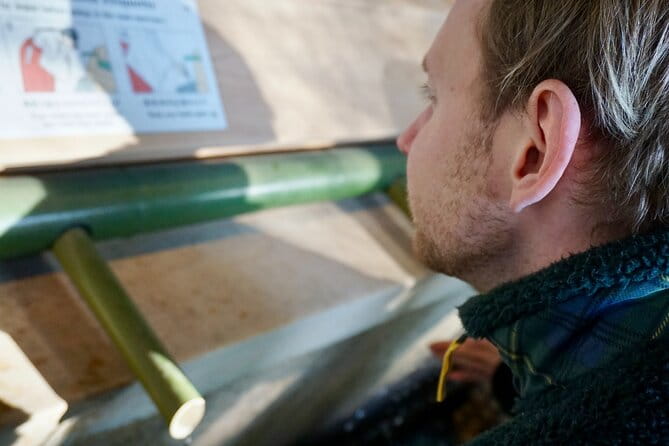 Tokyo Harajuku Meiji Shrine 1 Hour Explanation Tour - Additional Information