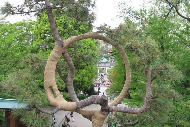 Tokyo Highlights, Asakusa, Ueno, Yanaka Walking - Tour Inclusions