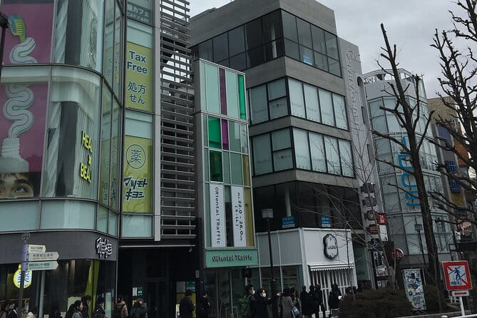 Tokyo Highlights Food and Culture - Traditional Tea Ceremonies: A Taste of History