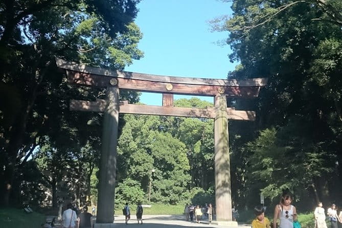 Tokyo Highlights, High Rise Observatory, Meiji Shrine, Imperial Palace Garden - Imperial Palace Garden