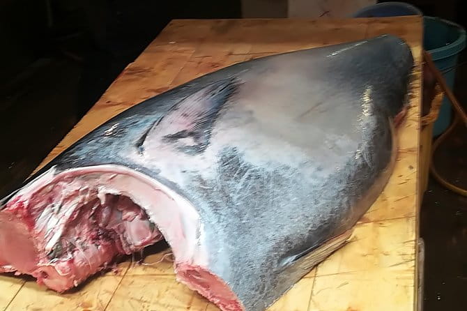 Tokyo Highlights, Imperial Palace, Kiyosumi Garden, Ukiyo-e Museum - The Rich History of Japanese Art