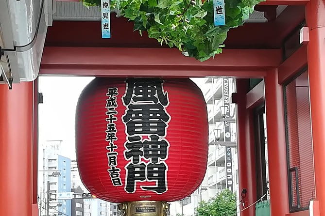 Tokyo Highlights, Meiji Shrine, Asakusa, Ueno & Tokyo National Museum - Health and Accessibility