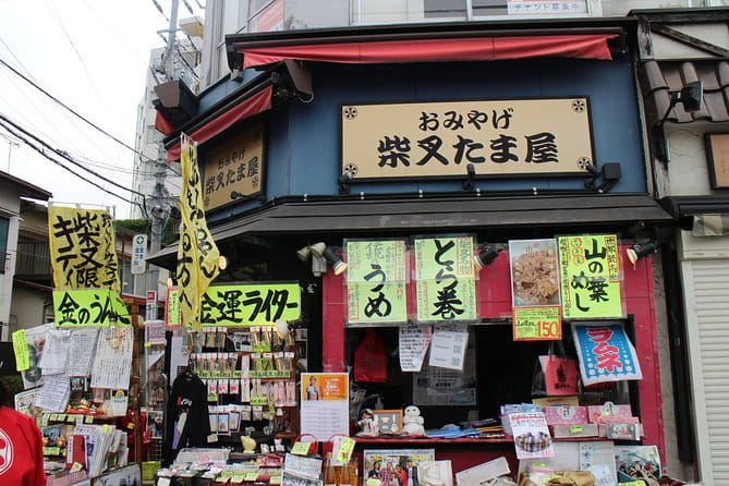 Tokyo Highlights, Shibamata, Temple of Wood Carving, Japanese Style House - Accessibility and Travel Tips