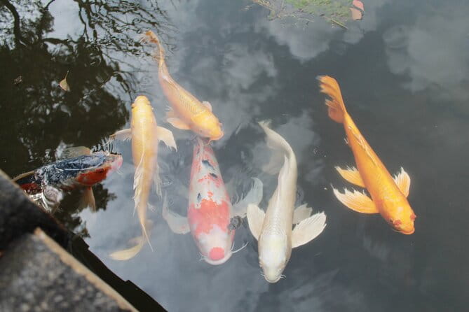 Tokyo: Imperial Palace - A Journey Through History (Guide PT) - Key Points