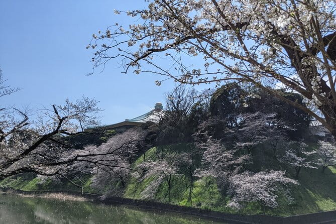 Tokyo Imperial Palace Higashi Gyoen Wellness Tour With Lunch - Tips for an Enjoyable Tour