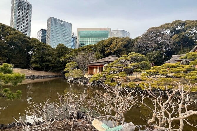 Tokyo: Japanese Garden Walking Tour With Tea and Sweets - Key Points