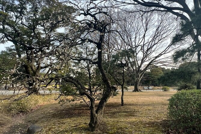 Tokyo: Japanese Garden Walking Tour With Tea and Sweets - Highlights of Hama-Rikyu Gardens