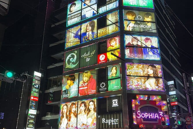 Tokyo Kabukicho Nightlife Tour With a Local - Accessibility Features