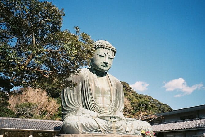 Tokyo Kamakura Day Trip - Pricing Information