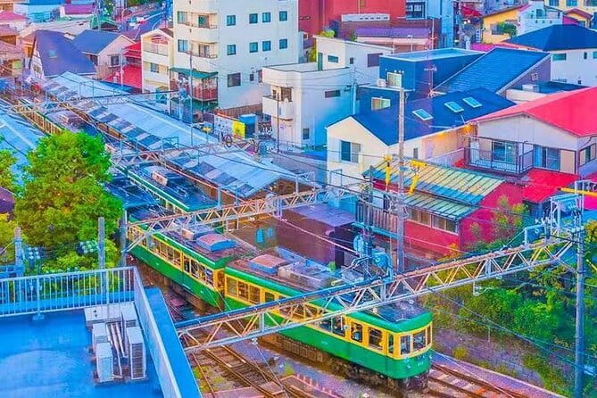 Tokyo Kamakura Day Trip - Traveler Eligibility