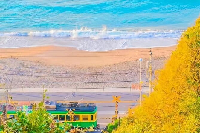 Tokyo Kamakura Day Trip - Customer Feedback and Experiences