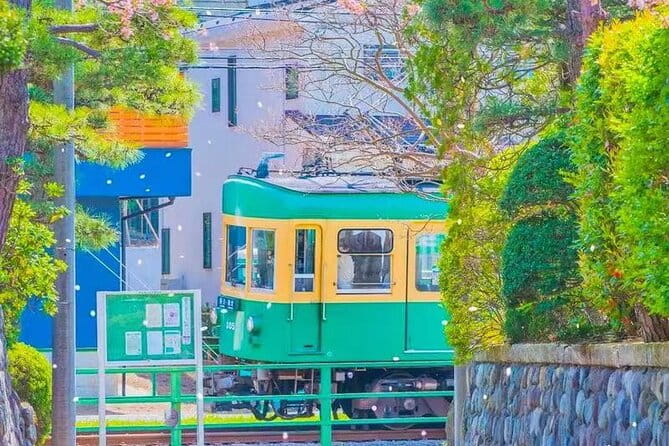 Tokyo Kamakura Day Trip - Alternative Tour Recommendations