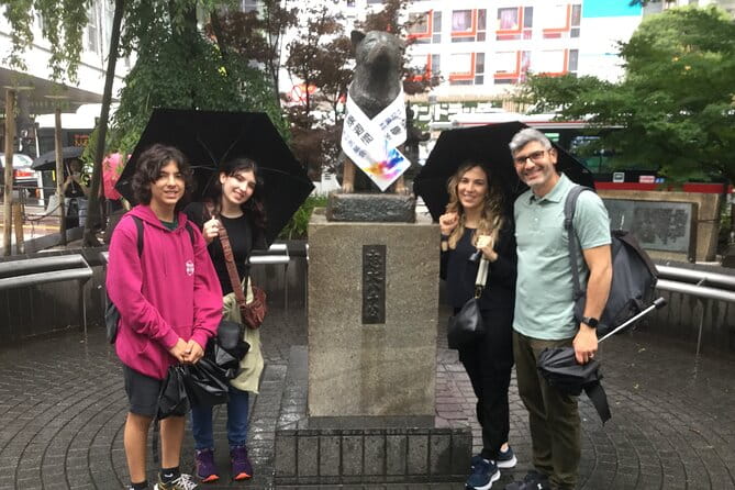 Tokyo Layover Tour English Speaking Driver Only : NRT Airport Dep - Accessibility and Requirements