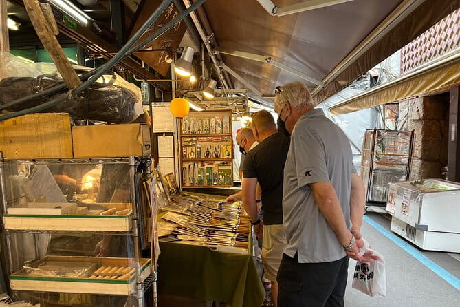 Tokyo Layover Tour With Licensed Guide & Vehicle: NRT Airport Dep - Accessibility Features