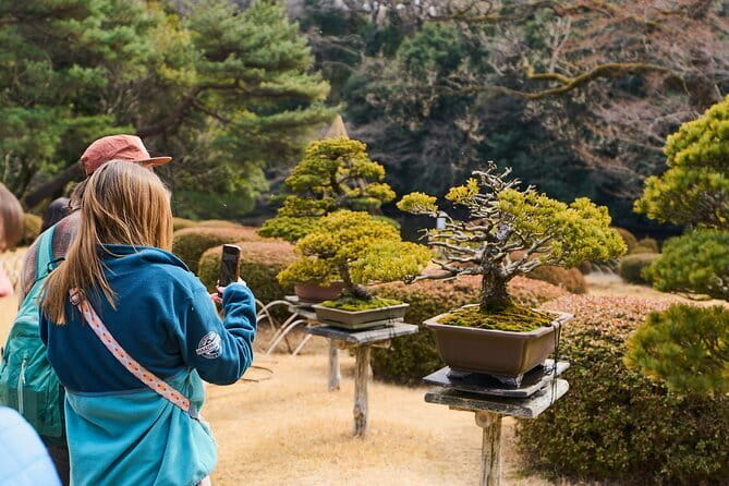 Tokyo: Meiji Shrine Historical Tour With Local Guide - Whats Included in the Tour