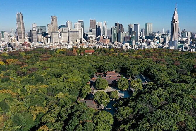 Tokyo: Meiji Shrine Historical Tour With Local Guide - Meeting Information and Location