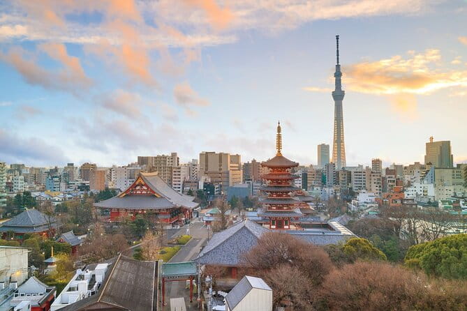 Tokyo Morning Small Group Tour - Cancellation Policy