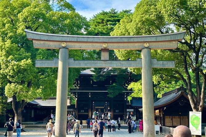 Tokyo Morning Tour: Asakusa, Meiji Shrine and Tsukiji Fish Market - Highlights of the Tour: Memorable Moments and Insights